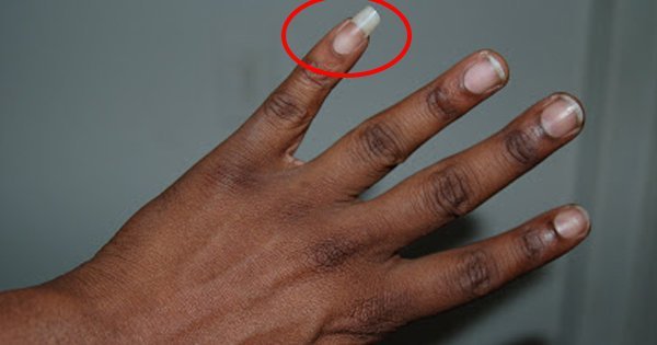 how long should men's nails be