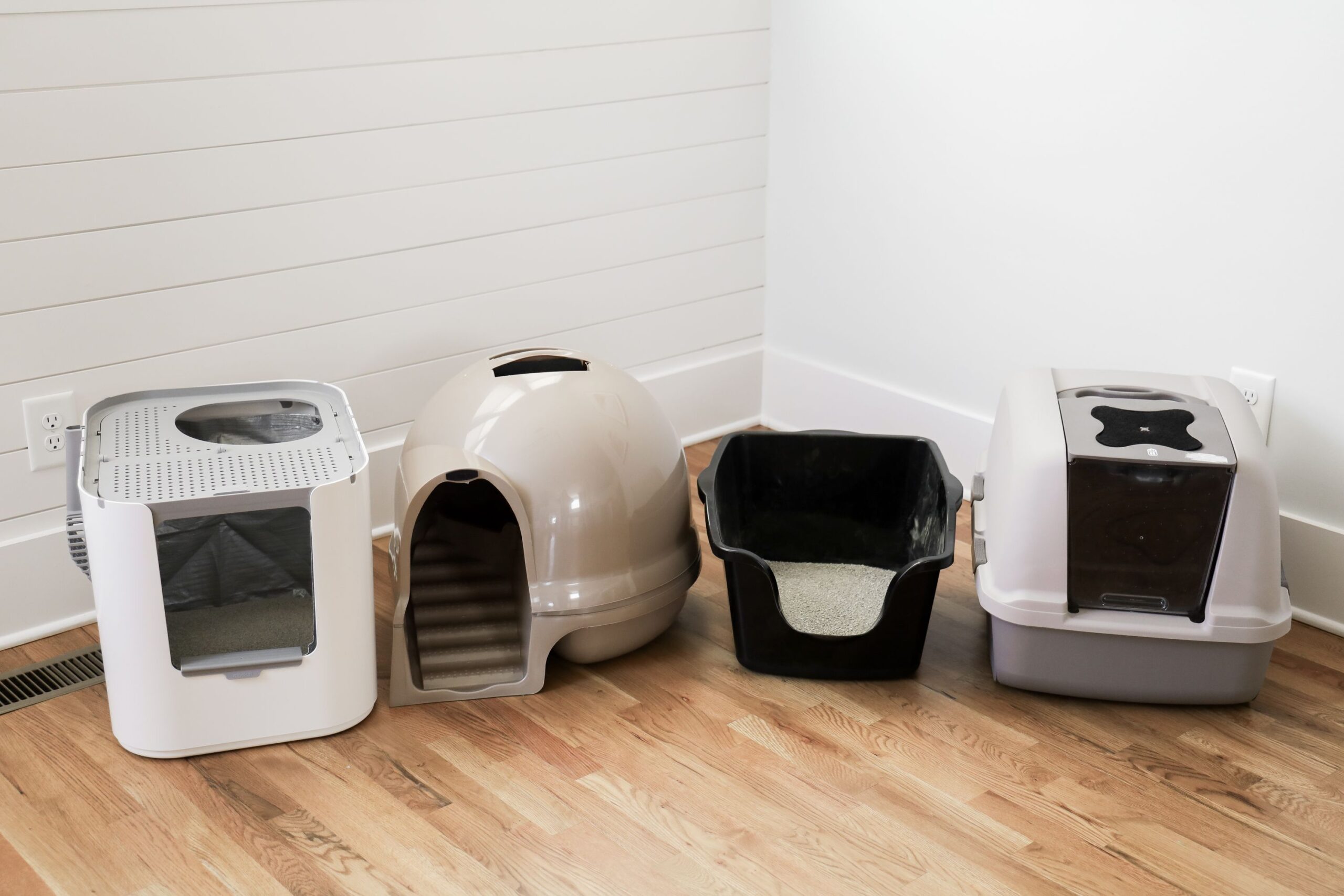 5 Reasons It Is Important to Clean Your Cat's Litter Box